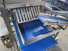 Quantum Conveyorized Topping Applicator With Reclaim Conveyor